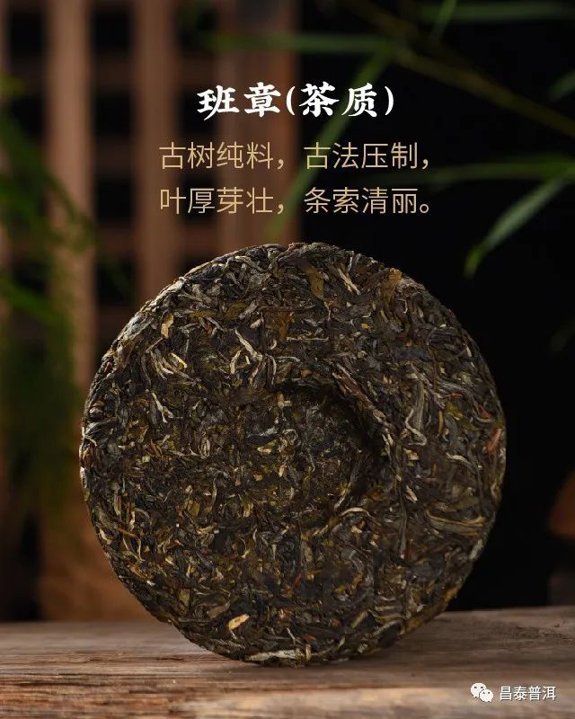 昌泰普洱2022年茶壶陈班章普洱茶