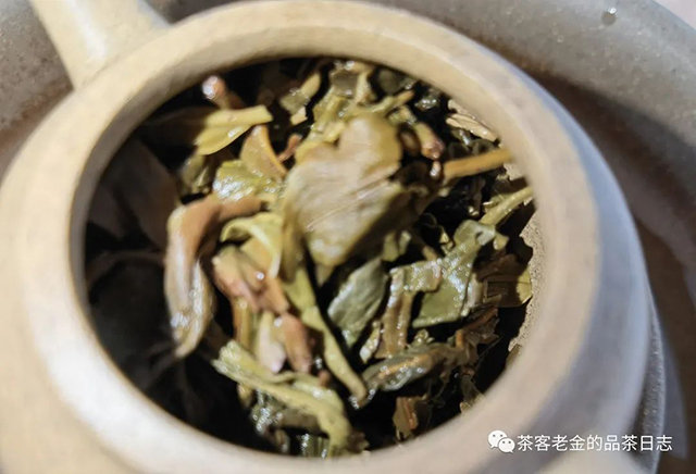 斗记2019年保塘普洱茶