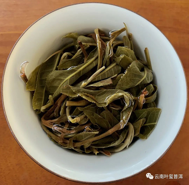 叶玺贡茶革登普洱茶