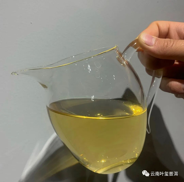 叶玺贡茶革登普洱茶