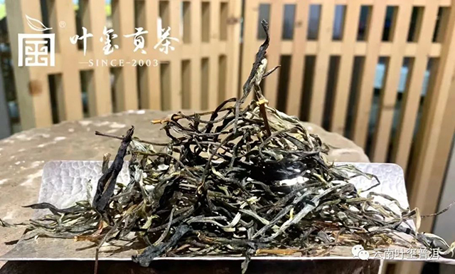 叶玺贡茶革登普洱茶