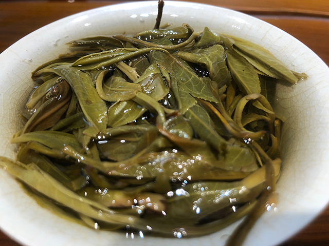 蓝版挑采古树老班章普洱茶小饼第6泡后的叶底
