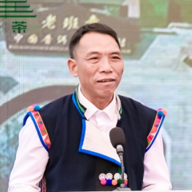勐海县老班章村副村长杨小峰