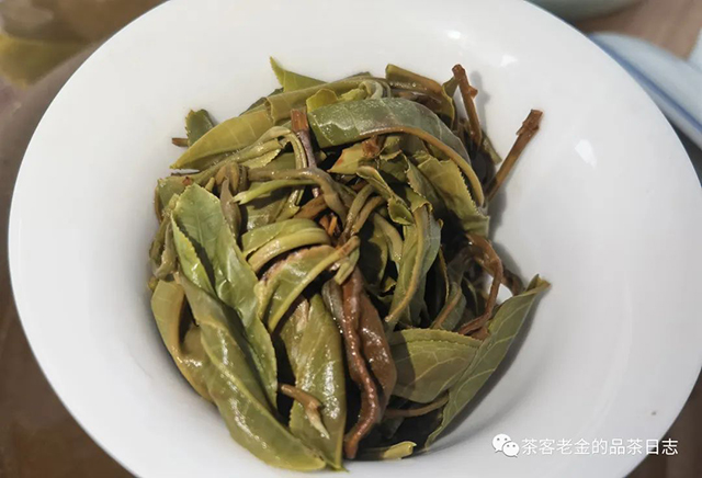 茶厨2022年挑采茶王树普洱茶