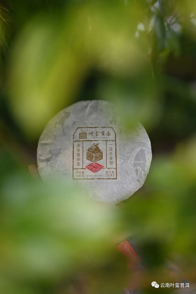 叶玺普洱2015年易武古熟普洱熟茶