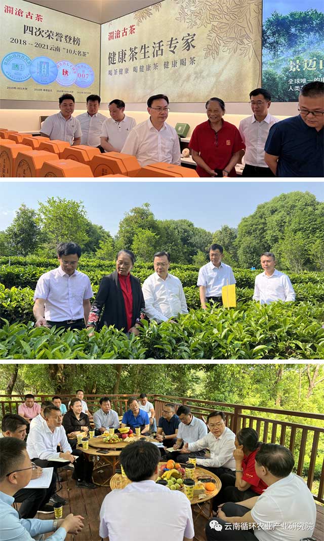 刘仲华院士一行赴云南普洱调研