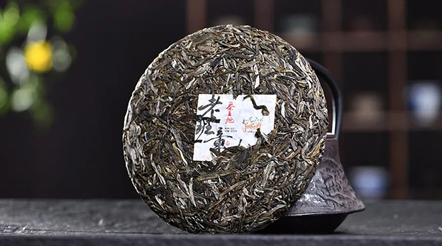 龙园茶业几棵树老班章普洱茶