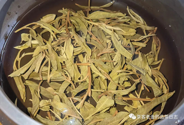流星赶月2022年天门山高杆普洱茶