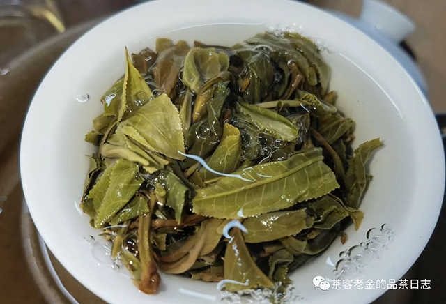 吾茶共饮菁瑶普洱茶