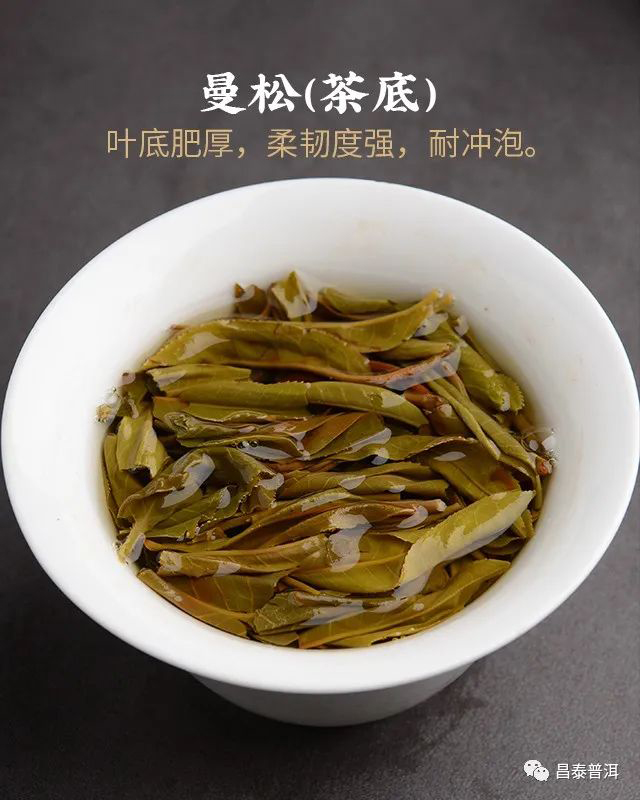 昌泰普洱2022年茶壶陈曼松普洱茶