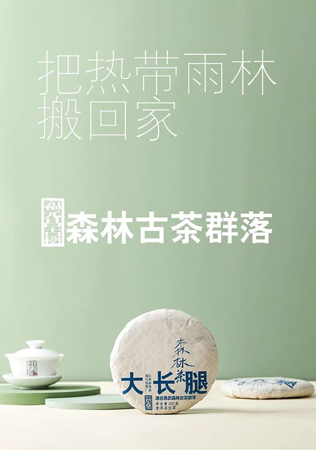 福元昌古树大长腿普洱茶