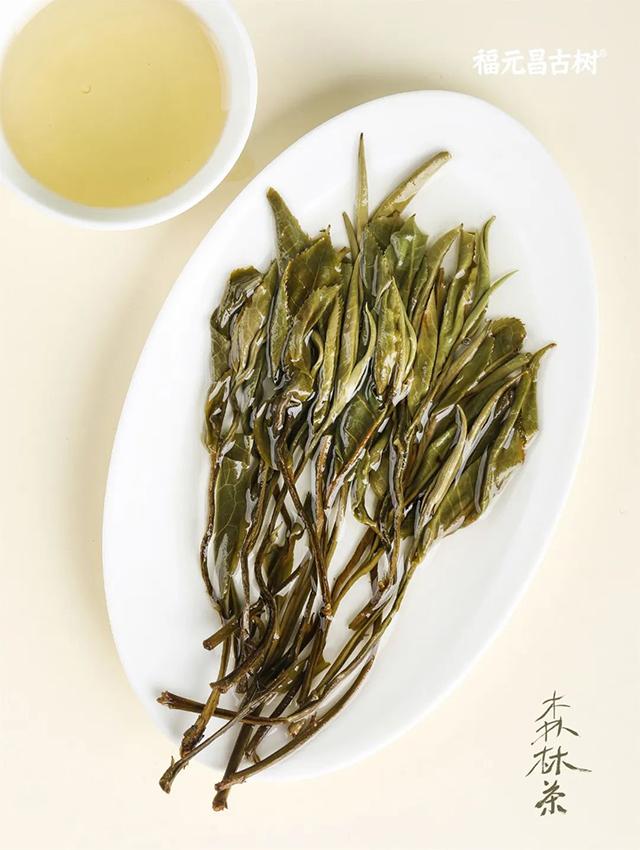 福元昌古树普洱茶