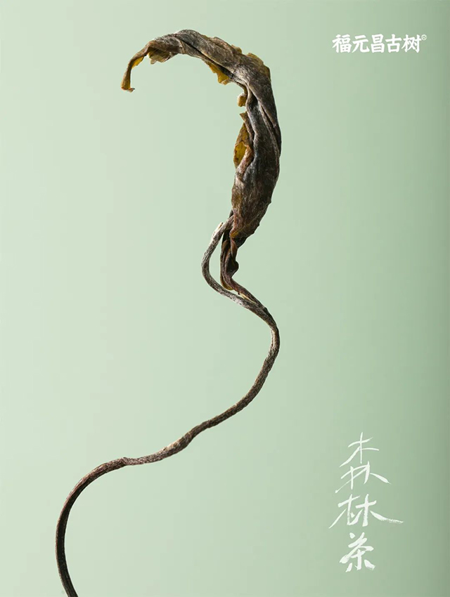 福元昌古树普洱茶