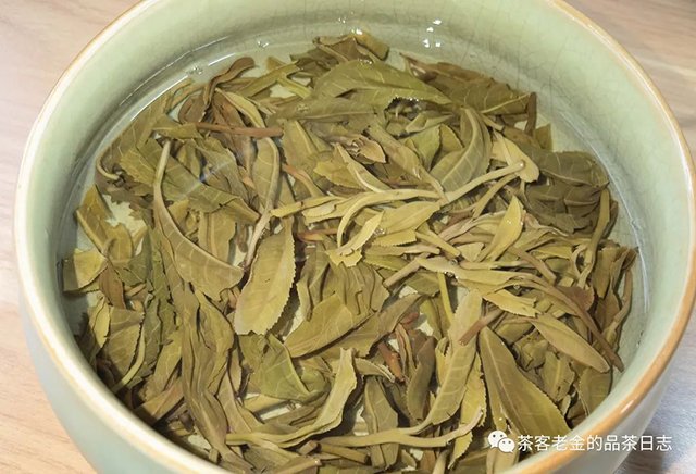 吾茶共饮2022年鳯箫普洱茶