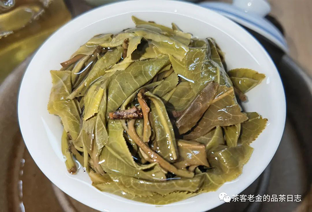 吾茶共饮2022年鳯箫普洱茶