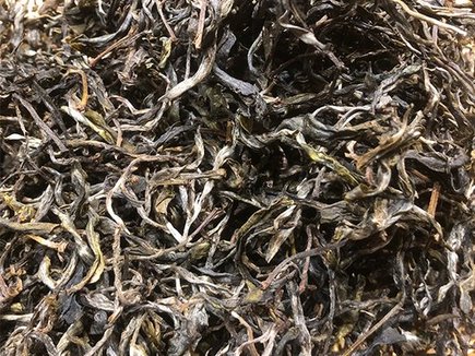 易武野象林古树茶