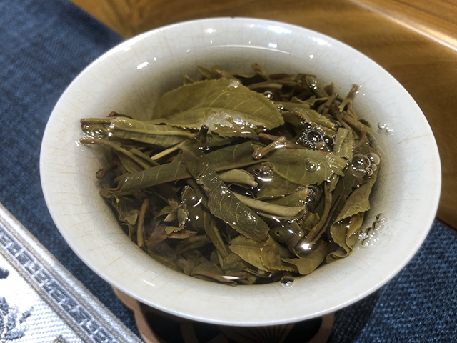 易武野象林古树茶