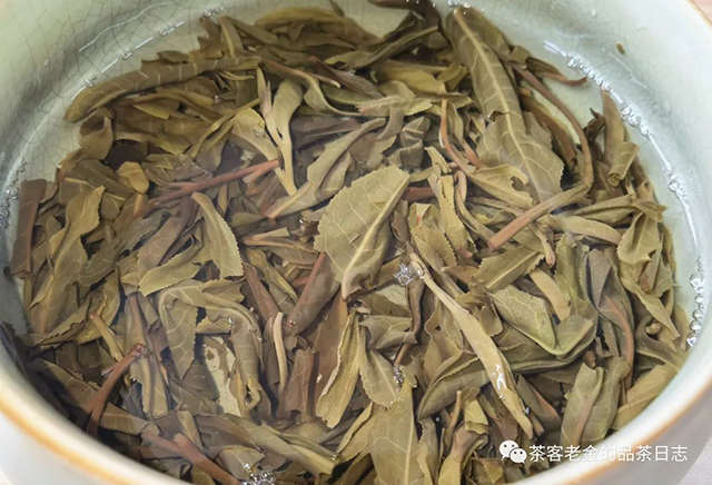 流星赶月2022年弯弓古树普洱茶