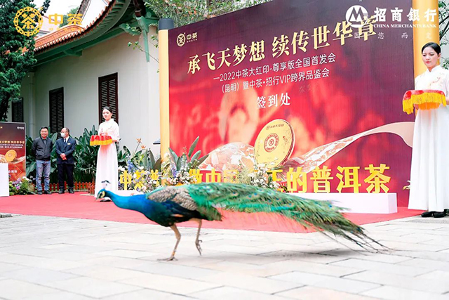 中茶大红印普洱茶品鉴会