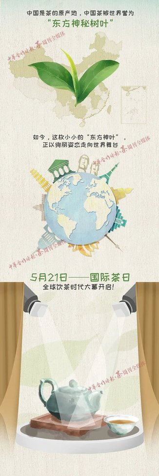 521国际茶日