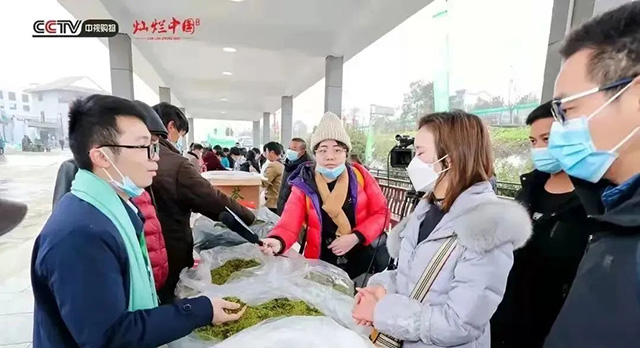 ��������Ԥ�������Ѿõ���¡�紺��