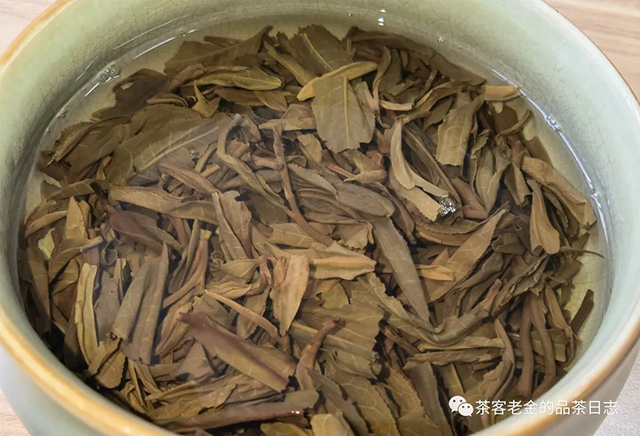 茶厨2012年野之韵普洱茶
