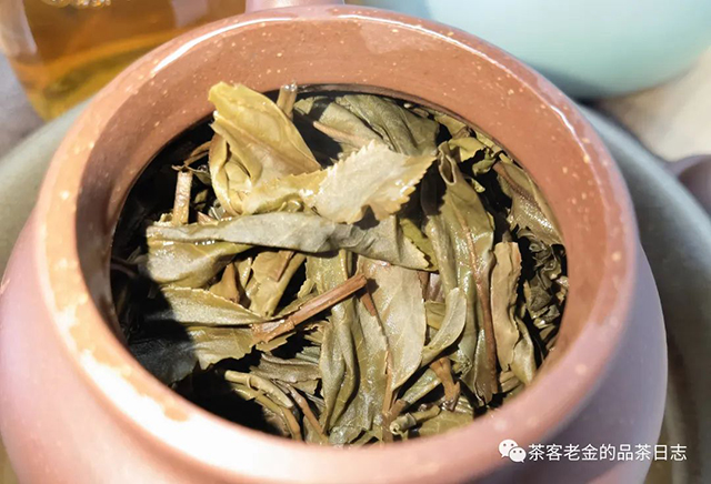 茶厨2012年野之韵普洱茶