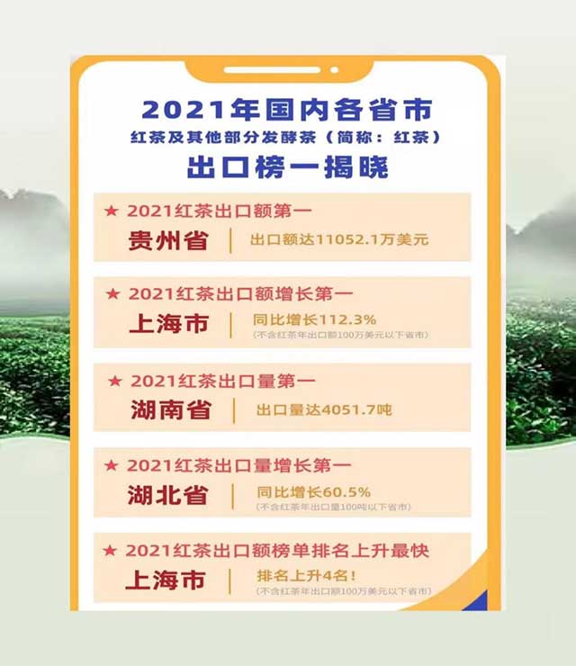 湖南红茶进茶馆方案评审会