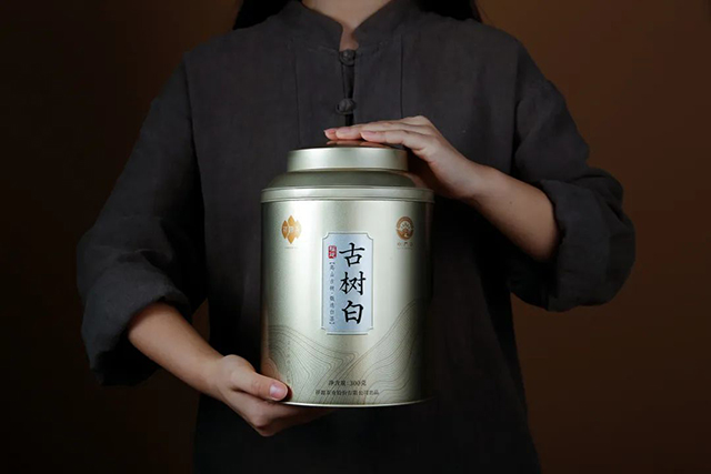 祥源茶2022古树白茶