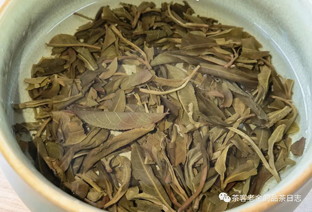 流星赶月2022年大黑树林古树普洱茶