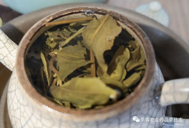 彤掌柜虎虎生威普洱茶