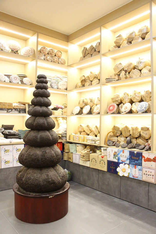 宁波龙园号品牌店开业庆典暨2022春茶品鉴会隆重举行