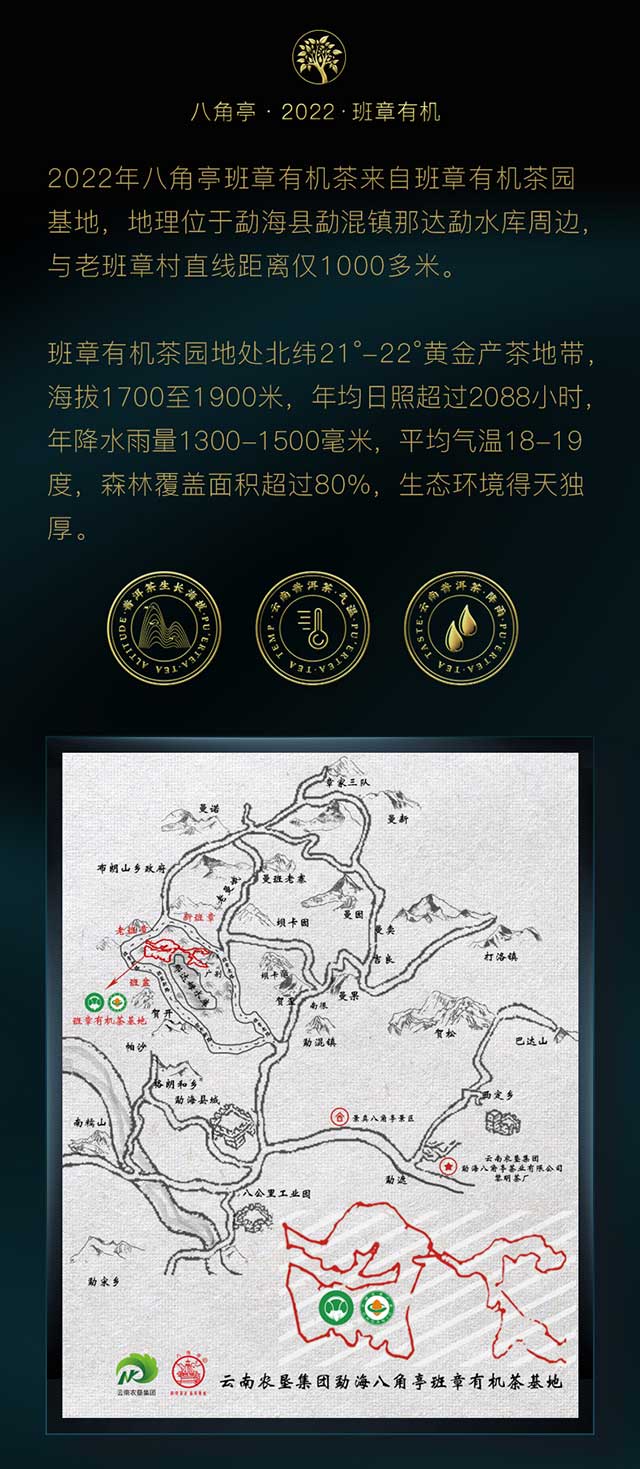 2022年八角亭有机饼茶普洱茶