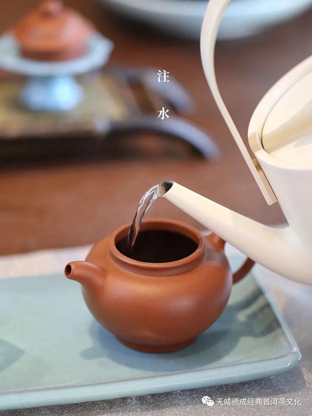 天威德成知白白茶茶砖