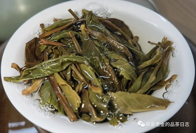 佤山茶人2022年易武鹰嘴崖单株普洱茶