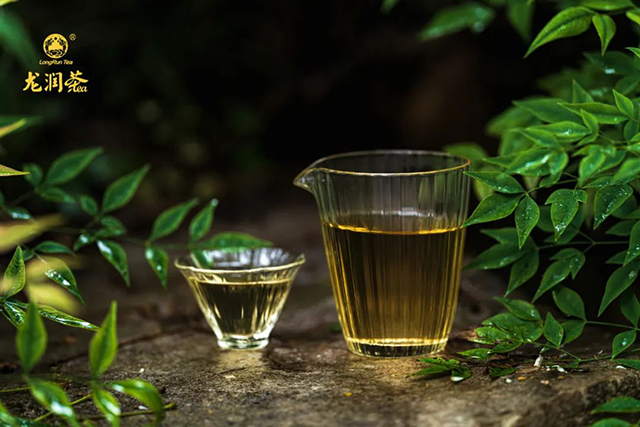 2022龙润茶昔归普洱茶