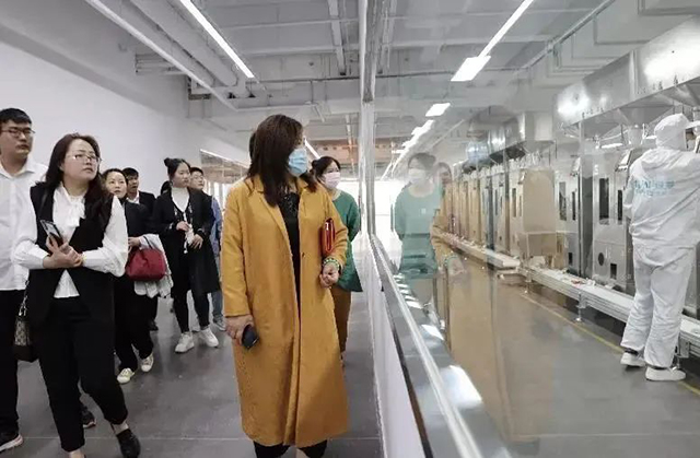 绿爱散茶大宗交易市场