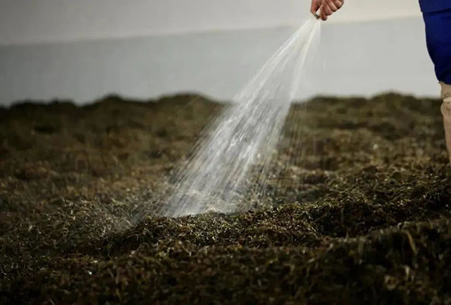 荣瑞祥2021年永德大雪山熟茶龙珠普洱茶