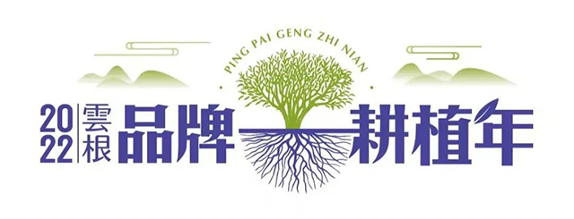 云根茶业济南茶博会