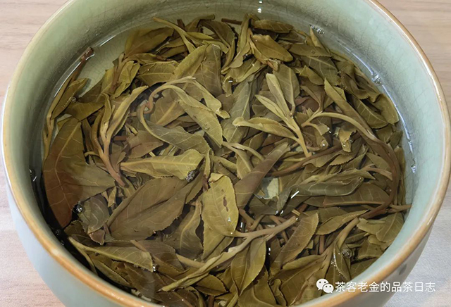 困鹿山制茶人2022年困鹿山1类中叶单株普洱茶