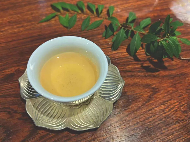 六大茶山2022年度新品茶王班章品鉴会