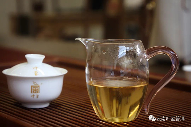 叶玺普洱2017易武古树生茶