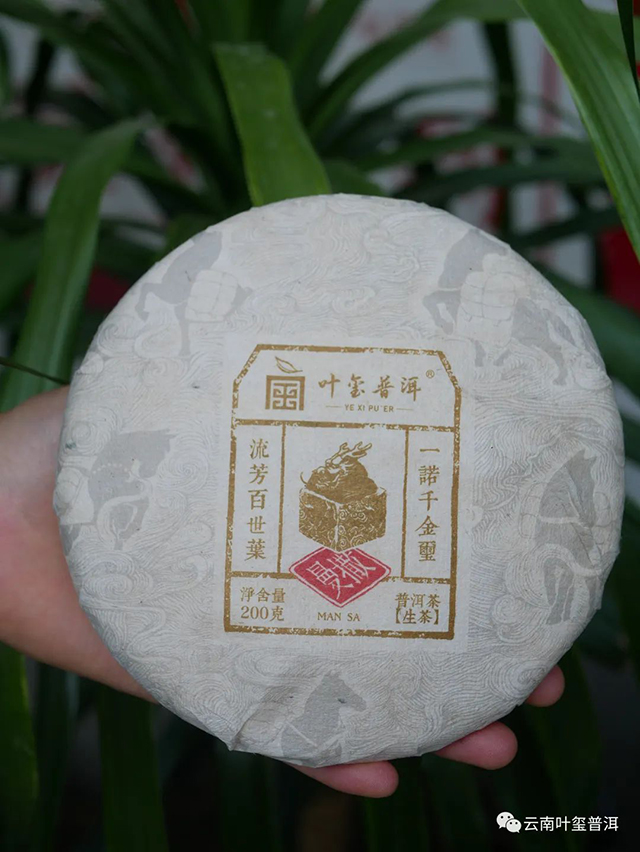 叶玺普洱2017易武古树生茶