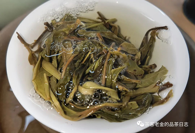吾茶共饮2022年菁瑶普洱茶