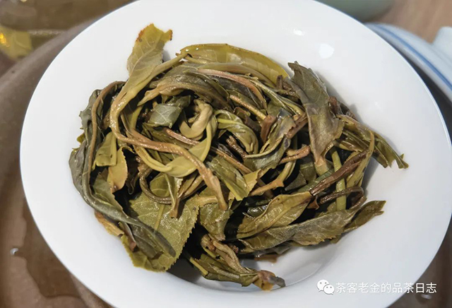 吾茶共饮2022年菁瑶普洱茶