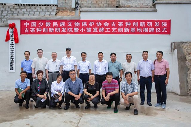 古茶种保护与种质创新暨小筐发酵工艺创新基地研讨会