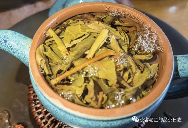 吾茶共饮2022年春山玉兰普洱茶