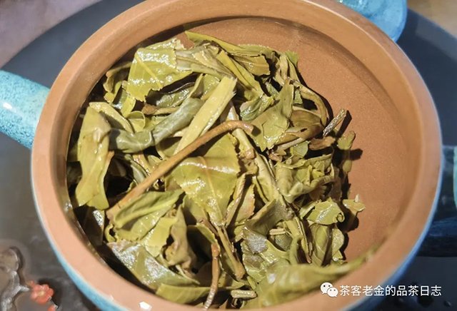 吾茶共饮2022年春山玉兰普洱茶