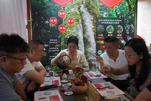 太和酵藏普洱品鉴中心