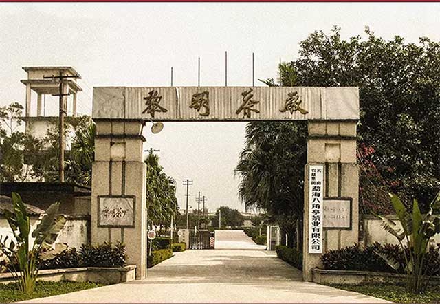 八角亭2022年九鼎珍藏班章五寨普洱茶